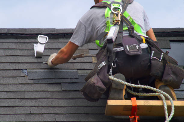 Best Roof Gutter Cleaning  in Buffalo, MN