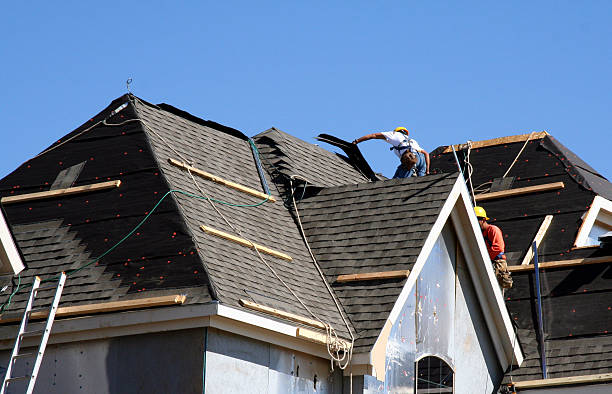 Best Flat Roof Repair Services  in Buffalo, MN