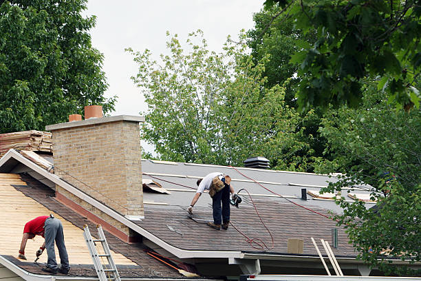 Best Slate Roofing Contractor  in Buffalo, MN